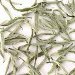 White Tea