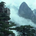 Thumbnail of a pic of this tea